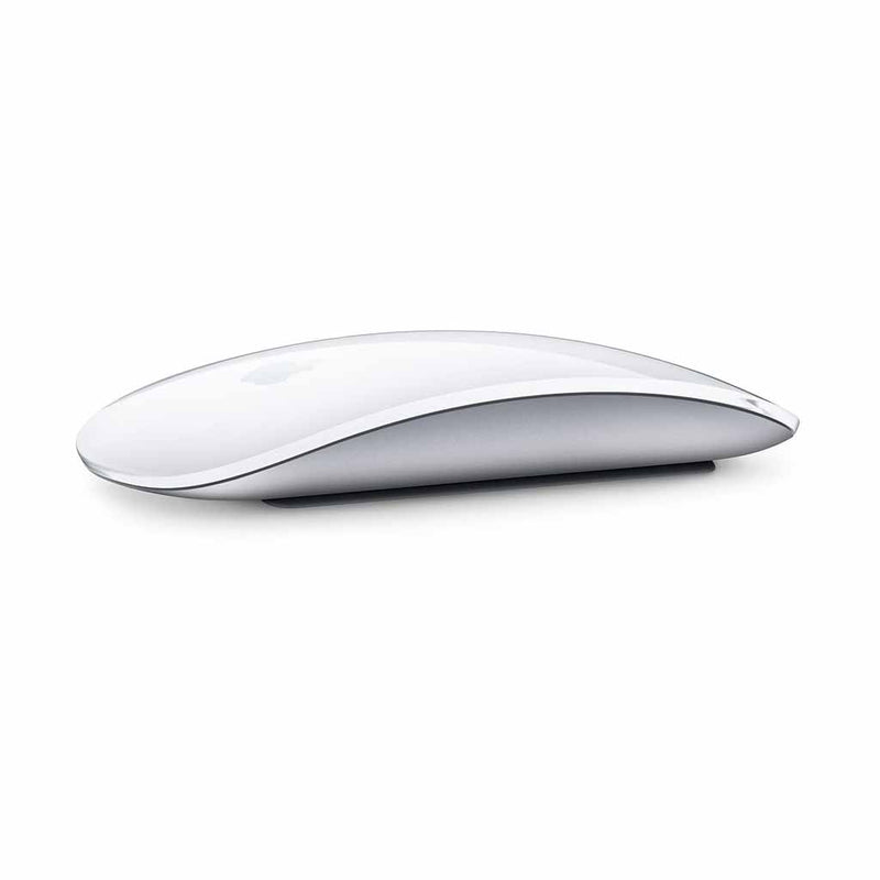Apple Magic Mouse / Silver