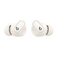 Beats Studio Buds + True Wireless Noise Cancelling Earphones