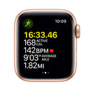 Apple Watch SE GPS / 40mm / Gold / Starlight (CHARGER NOT INCLUDED) - Refurbished  (90 Day Warranty)