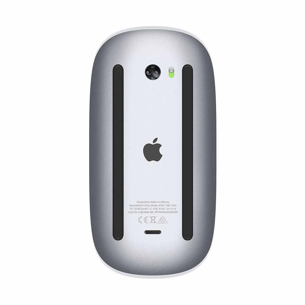 Apple store Magic Mouse