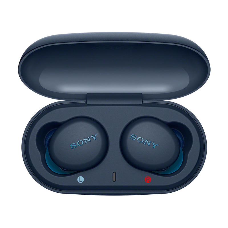 Sony WF-XB700 In-Ear Truly Wireless Headphones